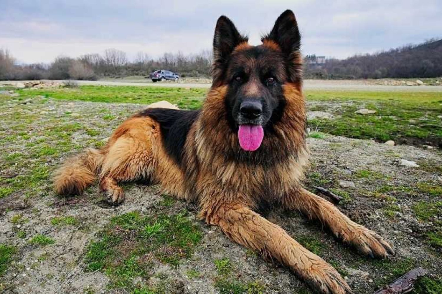 20148770-0223-4a5e-8b51-1f11857e73de