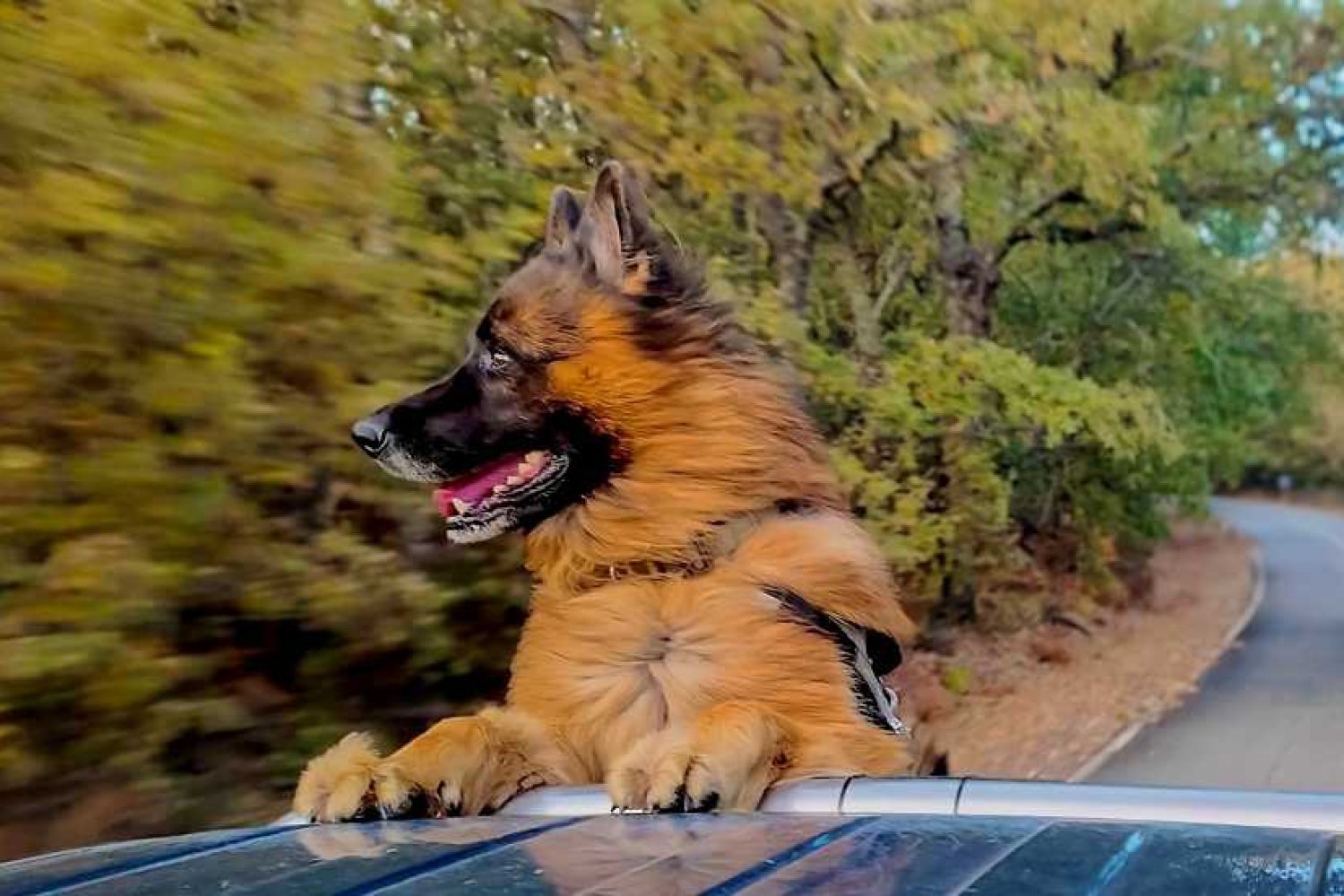 74c06deb-3e42-4507-a692-5a2fadcb9b6f