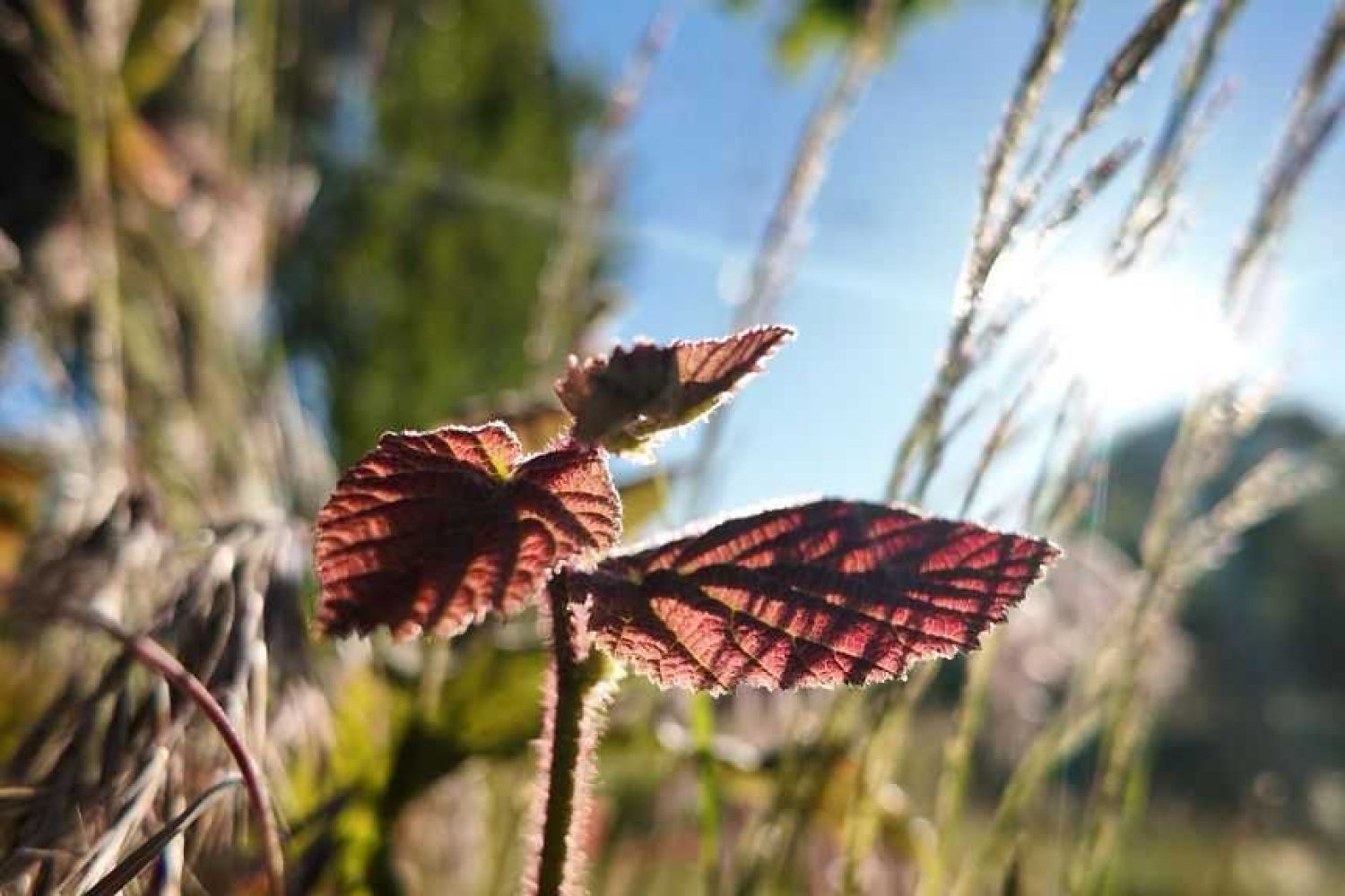 7e6c9837-0dff-44f0-b6b9-a3f4867d1279 2