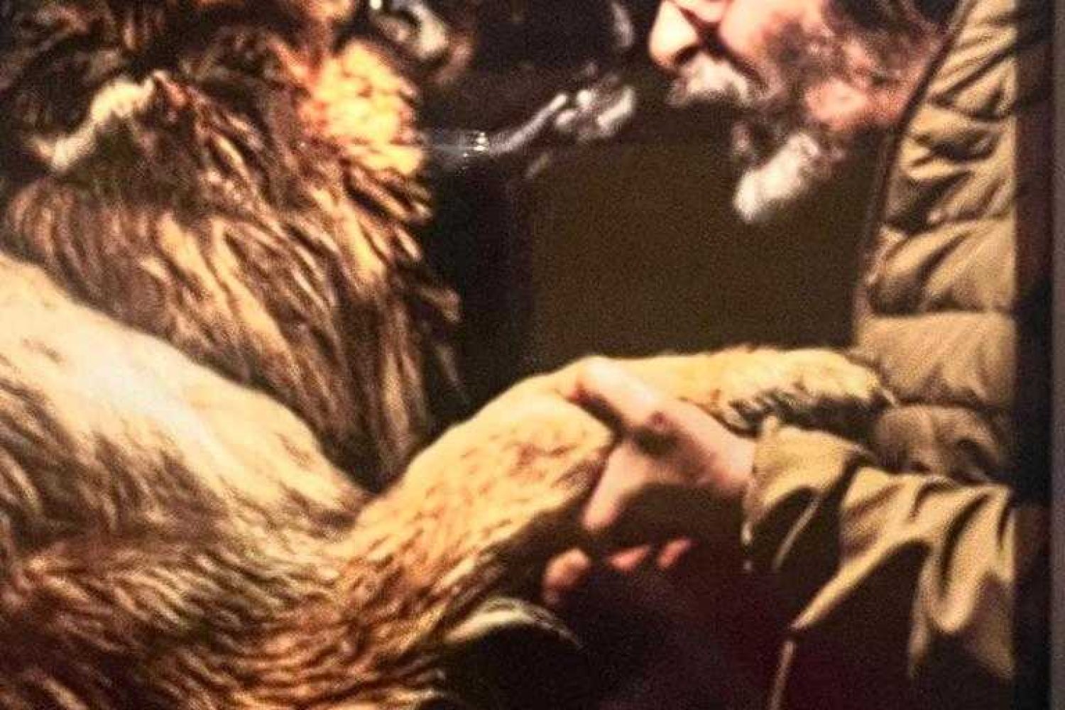 7ea147c8-7776-4b7c-af1f-c73cff1b2d21