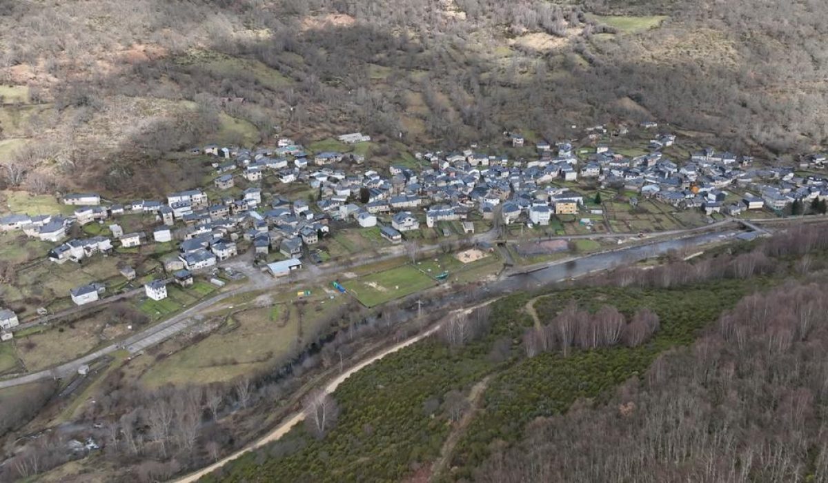 Proyecto sincc título