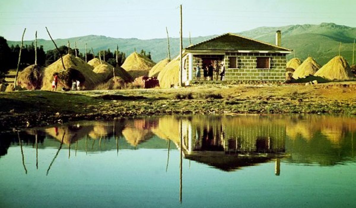 anta-de-rioconejos-sanabria2