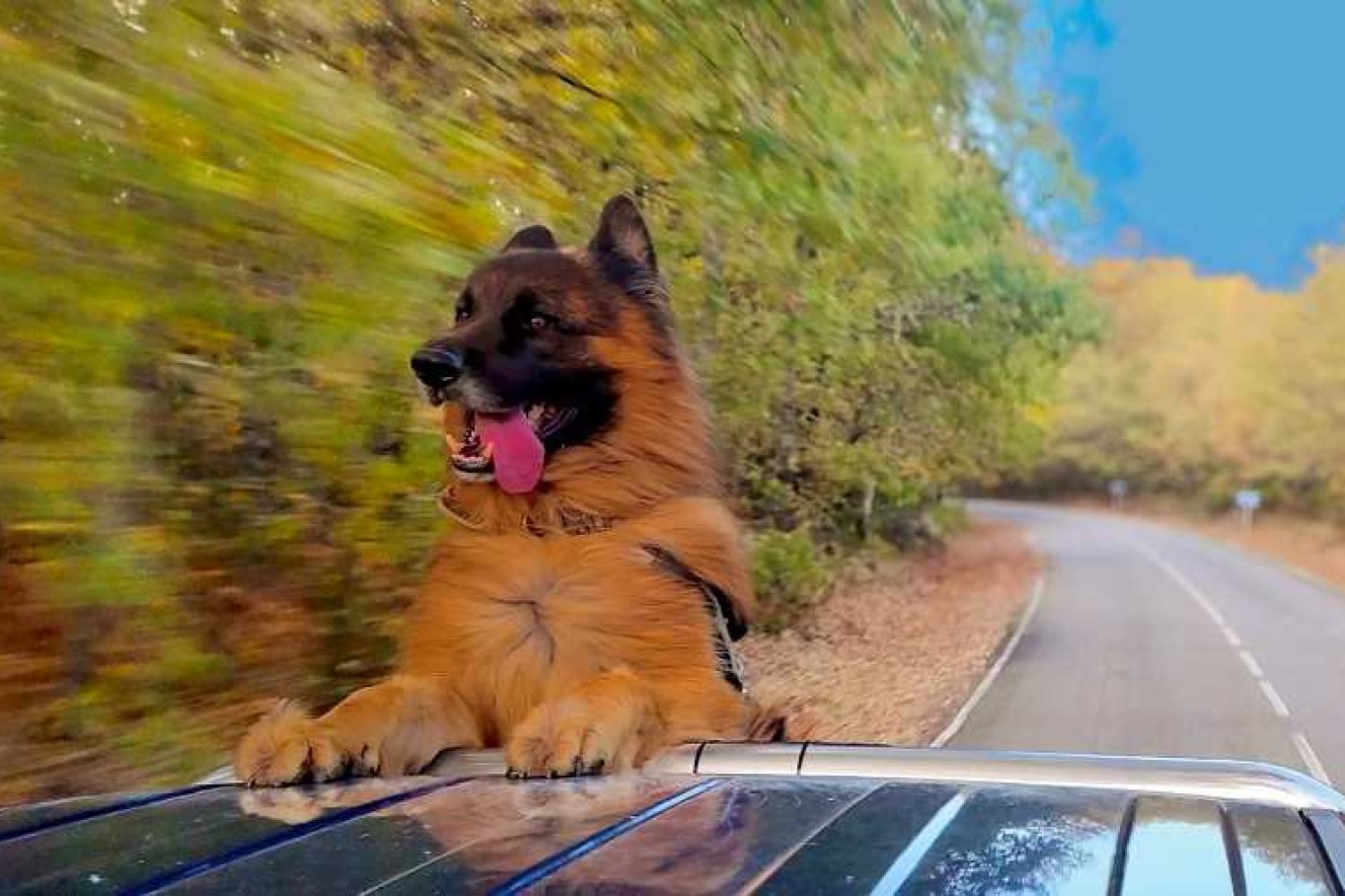 b46d1545-1f7d-470d-a6b8-390723c43e7c