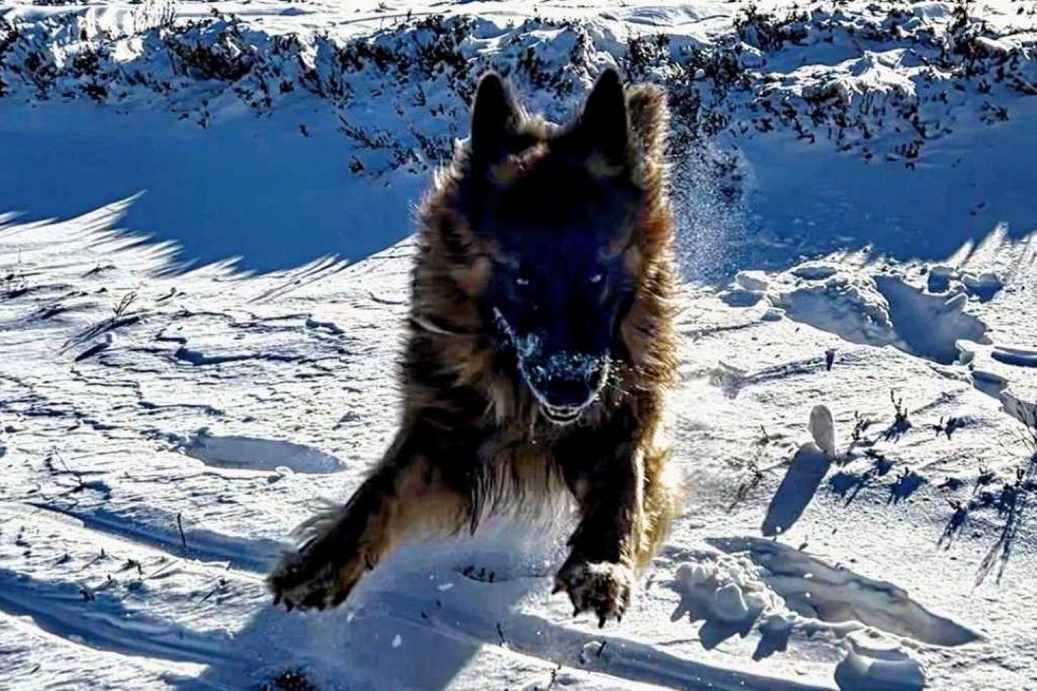 e5dd0310-2d08-49b2-aca1-5a873964598d 2