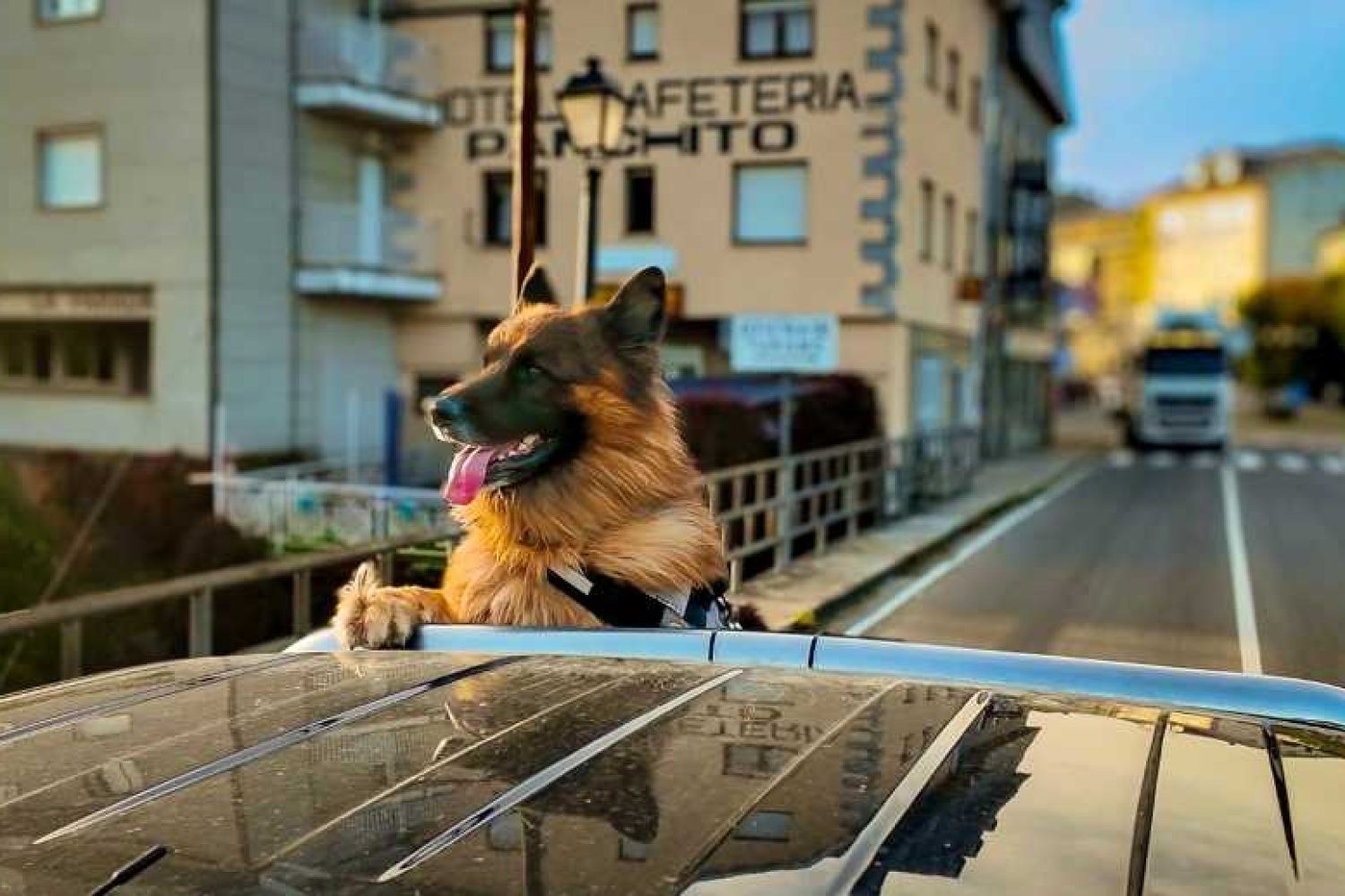 eee068fc-6ed8-49a7-a14b-acc72afec4cf